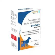 DEXMEDETOMIDINE 100MCG/ML - FL DE 10ML