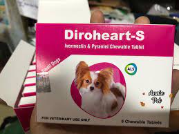 DIROHEART - S