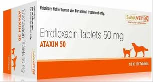 ENROFLOXACIN 50MG CP