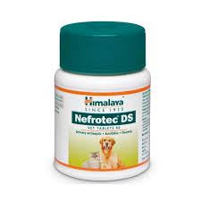 NEFROTEC DS BTE 60 TABS