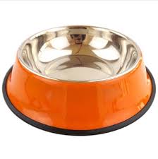 [55_ACC_17_LV] GAMELLE COLOREE GM (Orange- Vert)