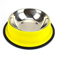 [42_ACC_17_LV] GAMELLE COLOREE XXL