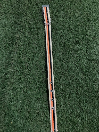 [15_ACC_17_LV] LV - COLLIER GM REFLECHISSANT