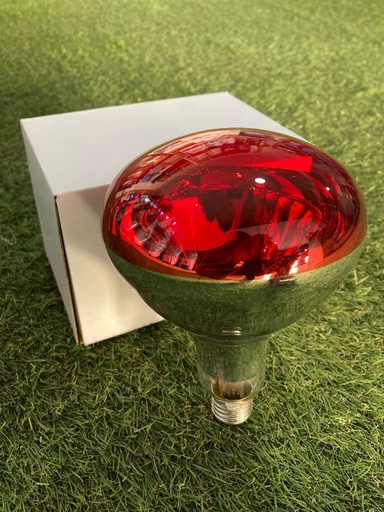 [AACC001] AMPOULE INFRAROUGE 100W